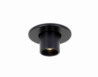 51.-protozoa-semi-recessed