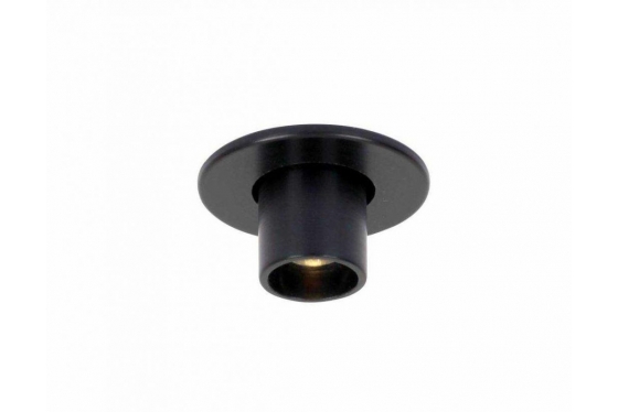 51.-protozoa-semi-recessed