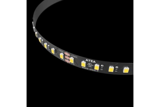 a4102-dynamic-white1736160664