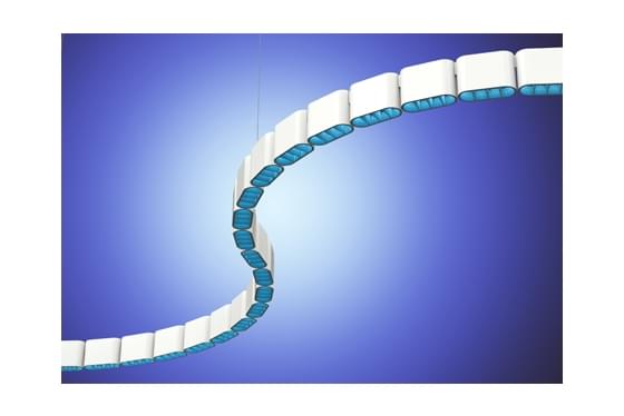 afb.centura40flexibledownlight1548414586