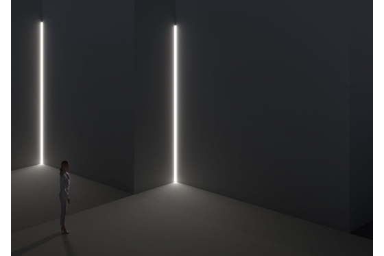 afbeelding11585559702