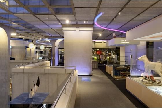 museon-den-haag-foto-1