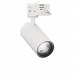 pablo62artzoom2