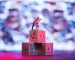 pipien_darc_awards_win_lowres